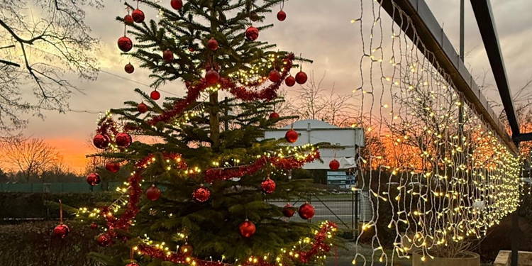 Die SG wünscht euch euch Frohe Weihnachten