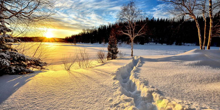 Weihnachtspause OSP-Schwimmhalle & Geschäftsstelle
