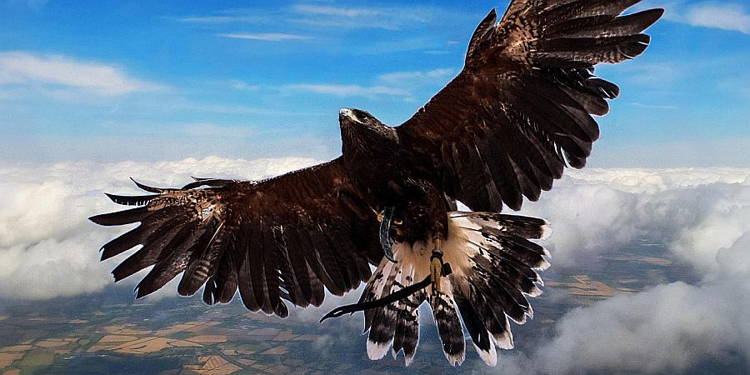 Group Fitness Info Flyer