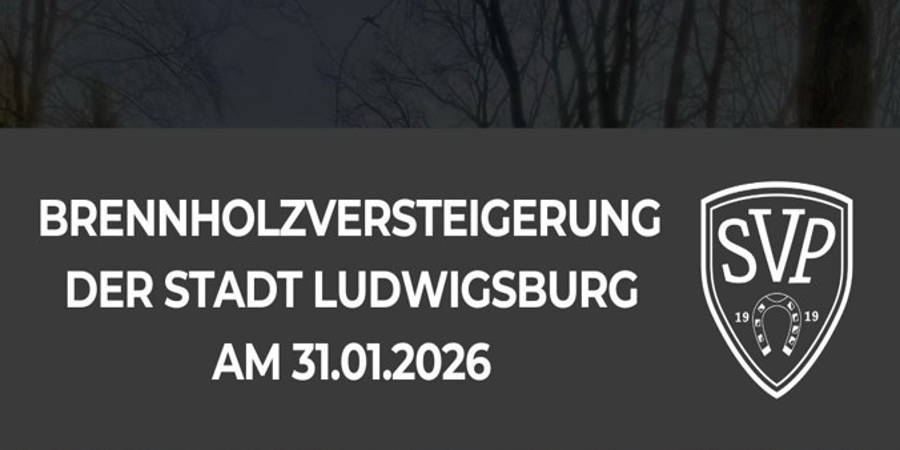 Brennholzversteigerung am 31.01.2026