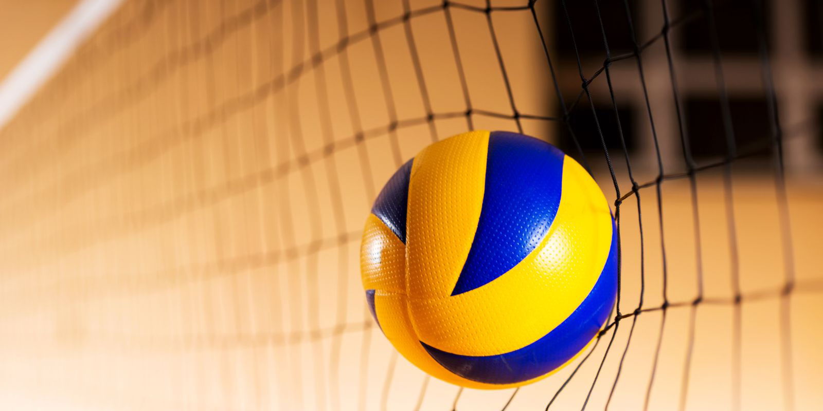 Volleyball 8-12 Jahre
