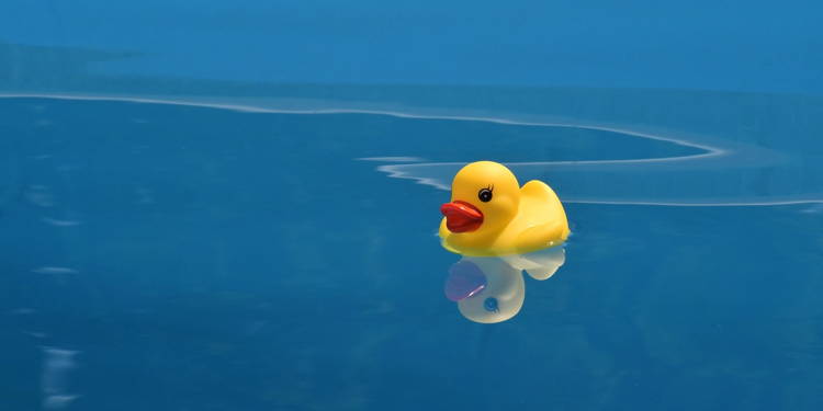 Infos zu unseren Schwimmkursen