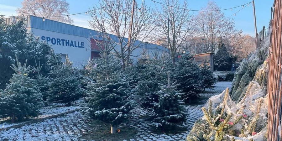 Weihnachtsbaumverkauf ab Samstag