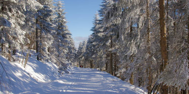 Winterwanderung am 04.01.2026