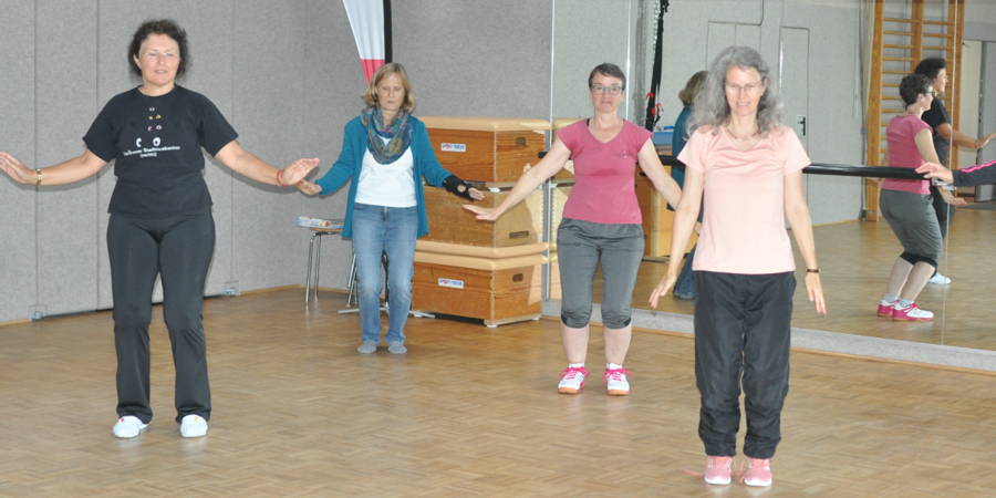 Qi-Gong-Kurs startet am 17.2.26