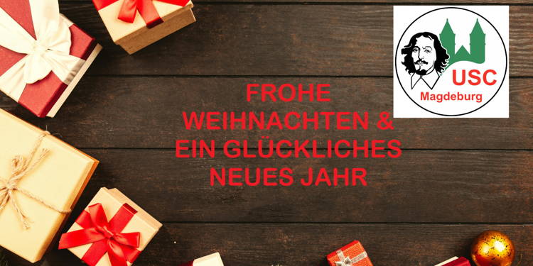 FROHE WEIHNACHTEN UND EIN GLÜCKLICHES NEUES JAHR